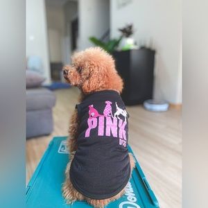 239. 4XL Ollypet Big Dog Clothes for Large Girl – Pink Dog – Cute Summer Dog Shi